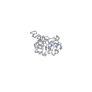 0661_6o9j_E_v1-3
70S Elongation Competent Ribosome