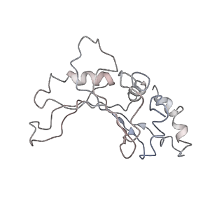 0661_6o9j_F_v1-2
70S Elongation Competent Ribosome