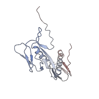 0661_6o9j_G_v1-2
70S Elongation Competent Ribosome