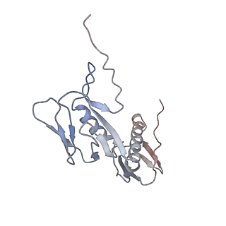 0661_6o9j_G_v1-3
70S Elongation Competent Ribosome