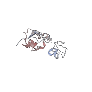0661_6o9j_H_v1-2
70S Elongation Competent Ribosome