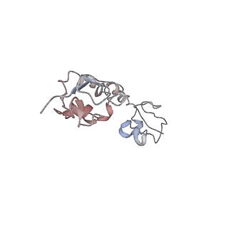 0661_6o9j_H_v1-3
70S Elongation Competent Ribosome