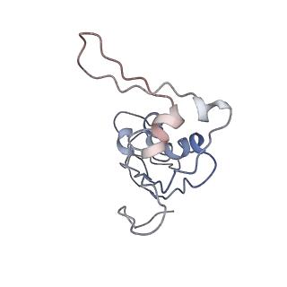 0661_6o9j_J_v1-2
70S Elongation Competent Ribosome