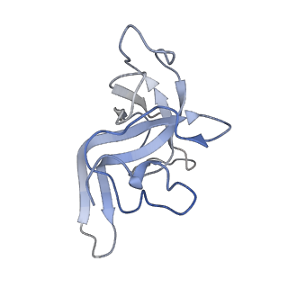 0661_6o9j_K_v1-3
70S Elongation Competent Ribosome