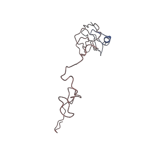 0661_6o9j_L_v1-2
70S Elongation Competent Ribosome