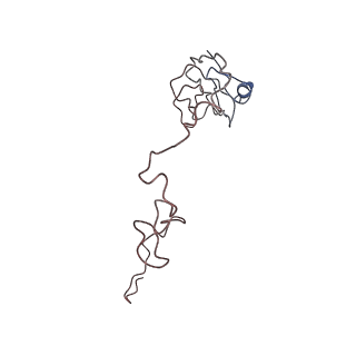 0661_6o9j_L_v1-3
70S Elongation Competent Ribosome