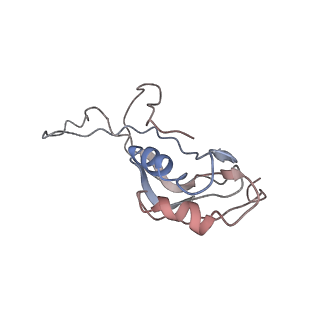 0661_6o9j_M_v1-2
70S Elongation Competent Ribosome