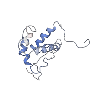 0661_6o9j_N_v1-2
70S Elongation Competent Ribosome