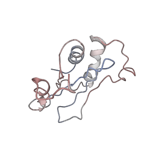 0661_6o9j_O_v1-2
70S Elongation Competent Ribosome