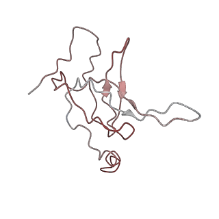 0661_6o9j_P_v1-3
70S Elongation Competent Ribosome