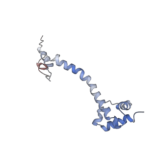 0661_6o9j_Q_v1-2
70S Elongation Competent Ribosome