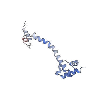 0661_6o9j_Q_v1-3
70S Elongation Competent Ribosome