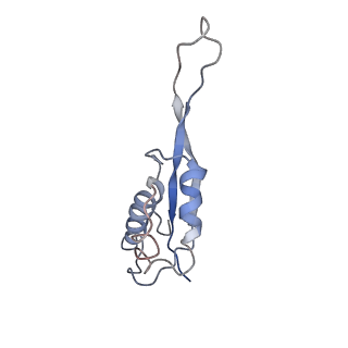 0661_6o9j_S_v1-2
70S Elongation Competent Ribosome