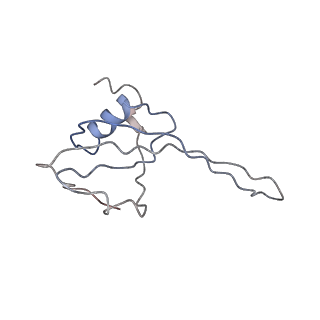 0661_6o9j_T_v1-2
70S Elongation Competent Ribosome