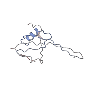 0661_6o9j_T_v1-3
70S Elongation Competent Ribosome