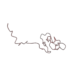 0661_6o9j_W_v1-3
70S Elongation Competent Ribosome