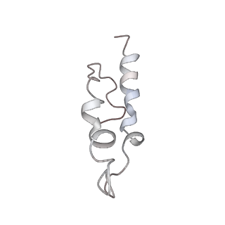 0661_6o9j_X_v1-2
70S Elongation Competent Ribosome