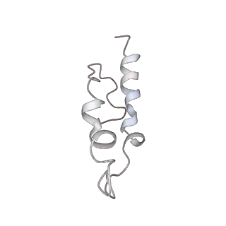 0661_6o9j_X_v1-3
70S Elongation Competent Ribosome