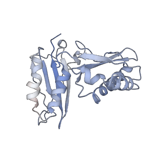 0661_6o9j_c_v1-2
70S Elongation Competent Ribosome