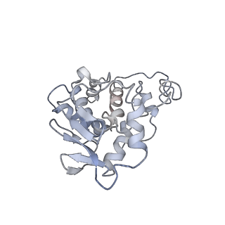 0661_6o9j_d_v1-2
70S Elongation Competent Ribosome