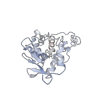 0661_6o9j_d_v1-3
70S Elongation Competent Ribosome