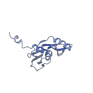 0661_6o9j_e_v1-2
70S Elongation Competent Ribosome