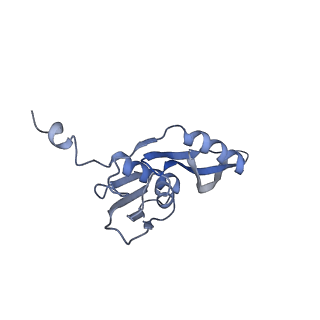 0661_6o9j_e_v1-3
70S Elongation Competent Ribosome