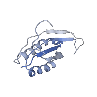 0661_6o9j_f_v1-2
70S Elongation Competent Ribosome