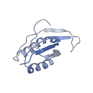 0661_6o9j_f_v1-3
70S Elongation Competent Ribosome