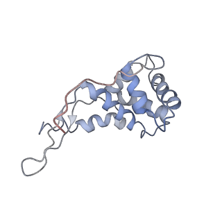 0661_6o9j_g_v1-2
70S Elongation Competent Ribosome