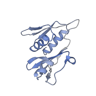 0661_6o9j_h_v1-2
70S Elongation Competent Ribosome