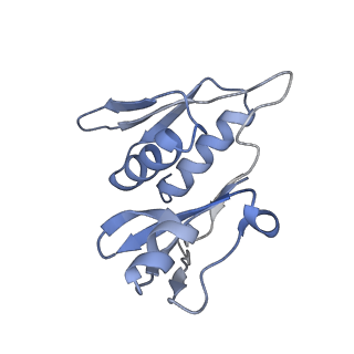 0661_6o9j_h_v1-3
70S Elongation Competent Ribosome