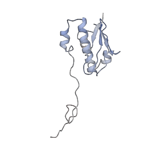 0661_6o9j_i_v1-2
70S Elongation Competent Ribosome