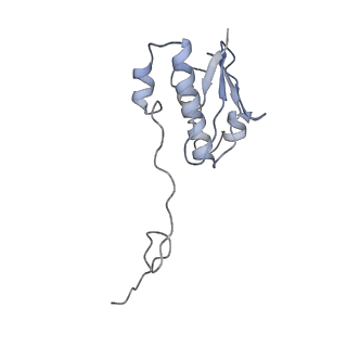 0661_6o9j_i_v1-3
70S Elongation Competent Ribosome