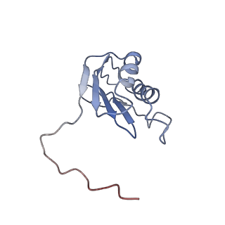 0661_6o9j_k_v1-3
70S Elongation Competent Ribosome