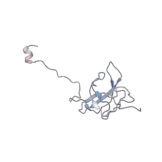 0661_6o9j_l_v1-2
70S Elongation Competent Ribosome