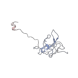 0661_6o9j_l_v1-3
70S Elongation Competent Ribosome