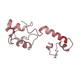 0661_6o9j_m_v1-2
70S Elongation Competent Ribosome
