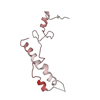 0661_6o9j_n_v1-2
70S Elongation Competent Ribosome