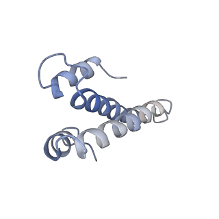 0661_6o9j_o_v1-2
70S Elongation Competent Ribosome