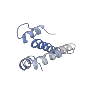 0661_6o9j_o_v1-3
70S Elongation Competent Ribosome