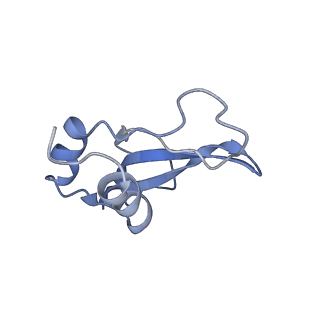 0661_6o9j_p_v1-2
70S Elongation Competent Ribosome