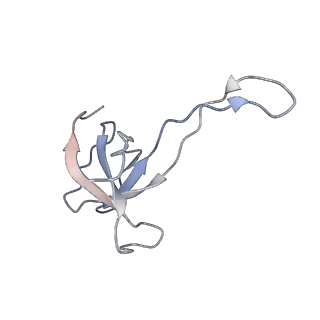 0661_6o9j_q_v1-2
70S Elongation Competent Ribosome