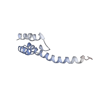 0661_6o9j_t_v1-2
70S Elongation Competent Ribosome