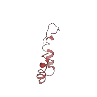 0661_6o9j_u_v1-2
70S Elongation Competent Ribosome