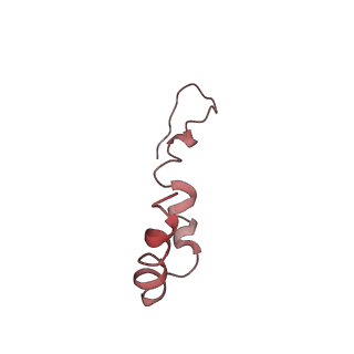 0661_6o9j_u_v1-3
70S Elongation Competent Ribosome