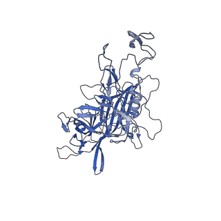 0663_6o9r_3_v1-3
The capsid structure of empty AAVrh.10 particles