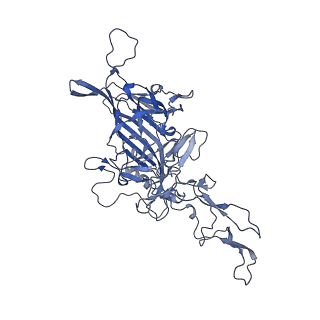 0663_6o9r_4_v1-3
The capsid structure of empty AAVrh.10 particles