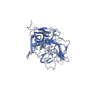 0663_6o9r_5_v1-3
The capsid structure of empty AAVrh.10 particles