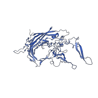 0663_6o9r_6_v1-3
The capsid structure of empty AAVrh.10 particles